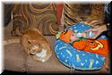 halloween-2007-020.jpg