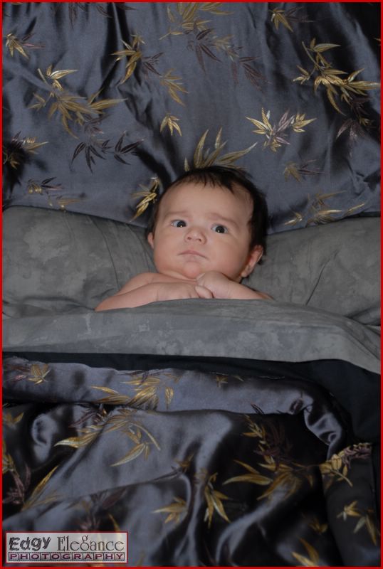 calvin-20071122-silver-sheets-002.jpg