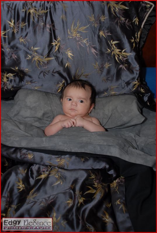 calvin-20071122-silver-sheets-003.jpg