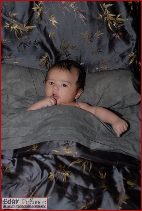 calvin-20071122-silver-sheets-012.jpg