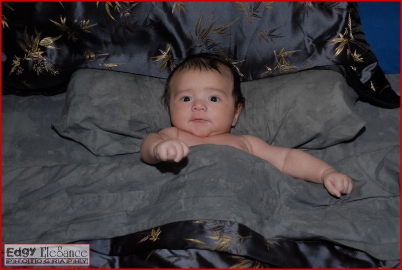 calvin-20071122-silver-sheets-013.jpg
