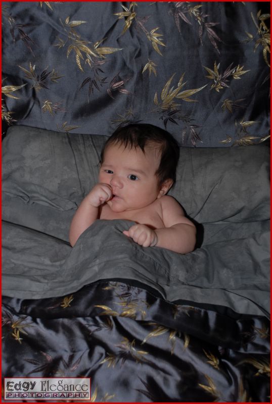 calvin-20071122-silver-sheets-029.jpg