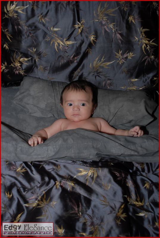 calvin-20071122-silver-sheets-054.jpg