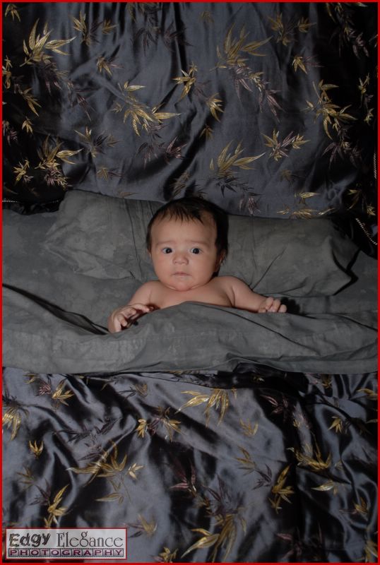 calvin-20071122-silver-sheets-055.jpg
