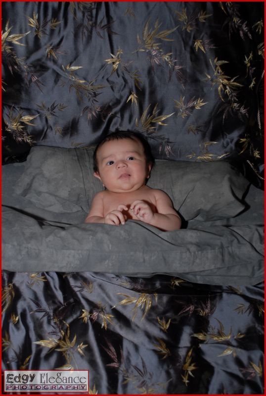calvin-20071122-silver-sheets-060.jpg