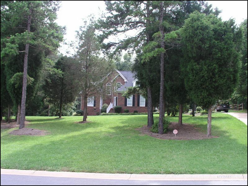 house-10318-edwards-place-04.jpg
