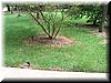 house-10318-edwards-place-08.jpg