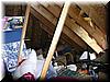 house-10318-edwards-place-48.jpg