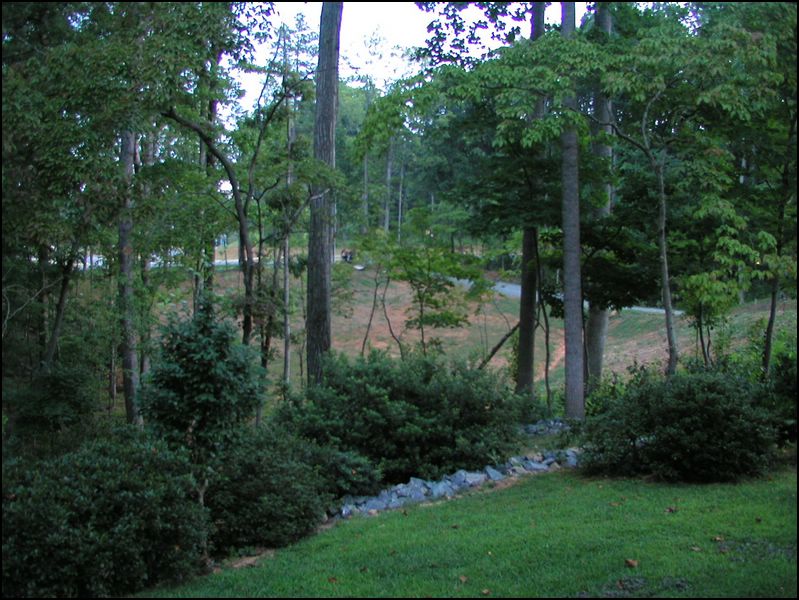 house-11424-idlewild-15.jpg