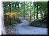 house-11424-idlewild-03.jpg