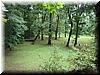 house-11539-gelding-06.jpg