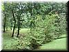 house-11539-gelding-07.jpg