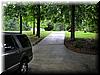 house-11539-gelding-10.jpg