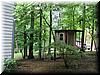 house-11539-gelding-11.jpg