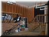 house-11539-gelding-21.jpg