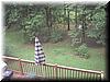 house-11539-gelding-28.jpg
