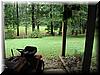 house-11539-gelding-42.jpg