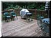 house-11539-gelding-44.jpg