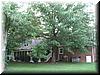house-13524-capriole-50.jpg