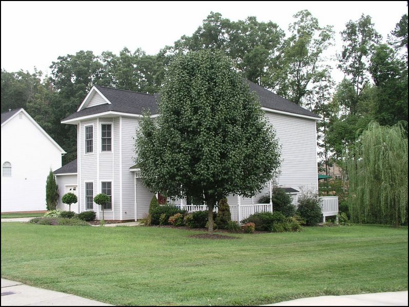 house-2001-brandywine-04.jpg