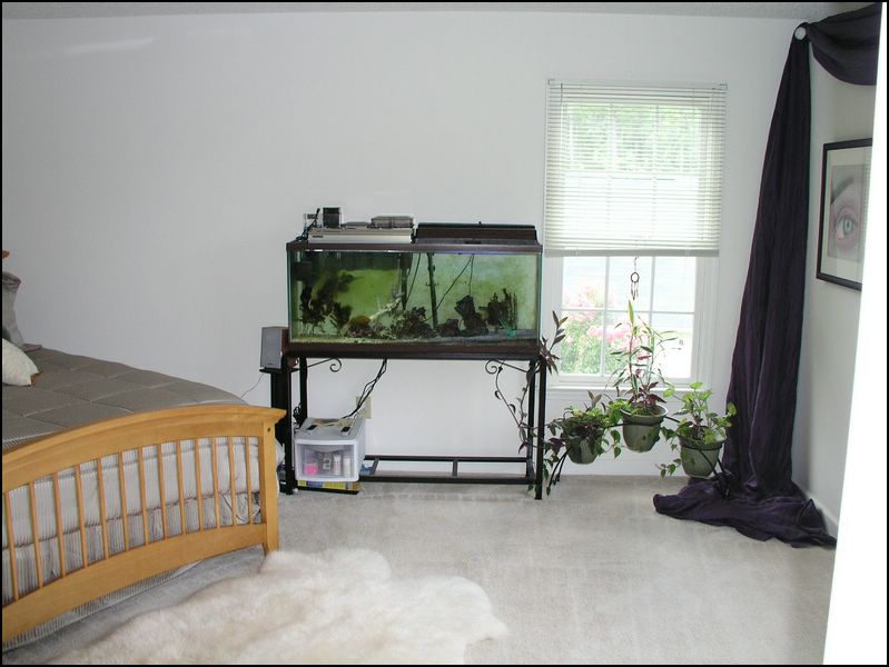 house-2001-brandywine-27.jpg