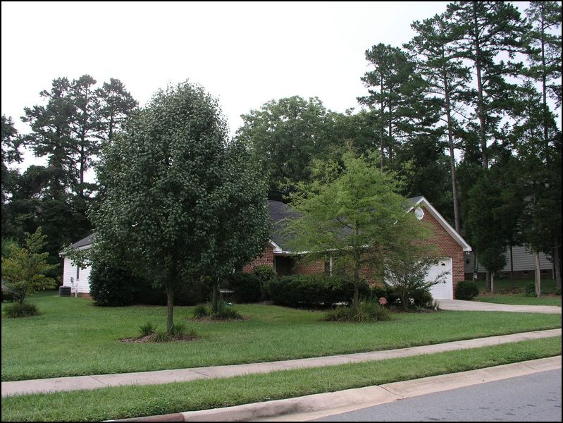 house-2110-brandywine-05.jpg