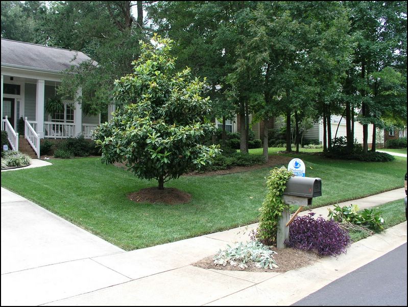 house-3012-cross-tie-lane-03.jpg