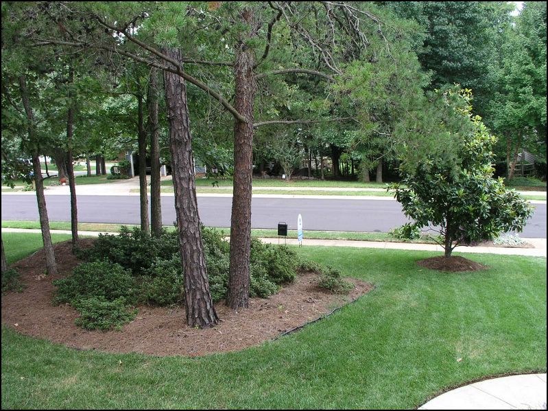 house-3012-cross-tie-lane-46.jpg