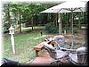 house-3012-cross-tie-lane-36.jpg