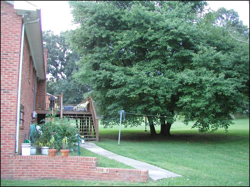 house-5539-barnsdale-05.jpg