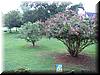 house-5539-barnsdale-30.jpg