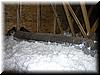 house-5910-gold-wagon-42.jpg