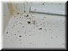 house-6719-reedy-creek-49.jpg